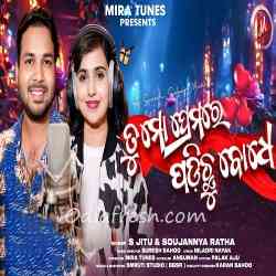 Tu Mo Premare Padichhu Bodhe